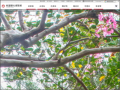 大溪中正公園 pic