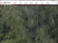 石門十一份(石門水庫管理局前的石門大草坪) pic